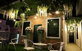 Shamrock Garden